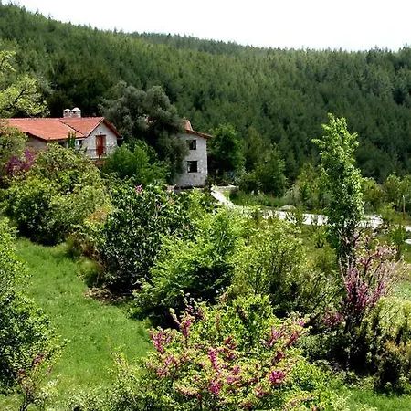 Kilim Yaka Village Villa Kayacik (Fethiye)